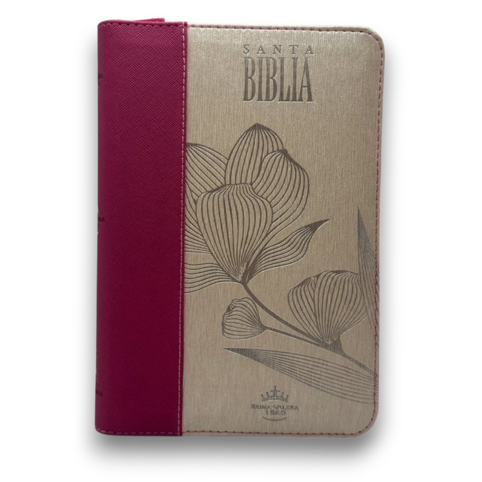 Biblia Letra Grande Beige Fucsia Canto Dorado Cierre